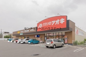 【ドラッグストア】クスリのアオキ 南宇都宮店 1020m 周辺環境
